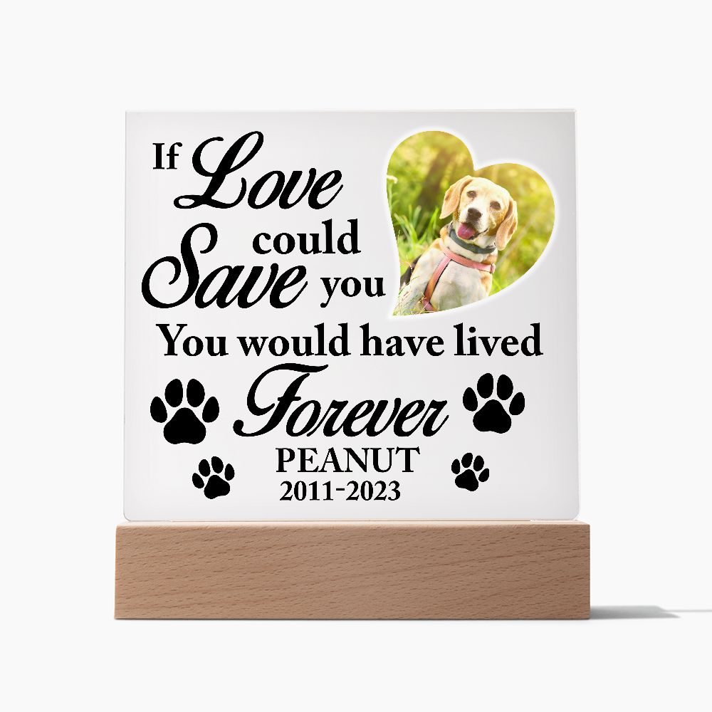 If Love Could Save You - Personalize Loss of Pet Gift With Photo