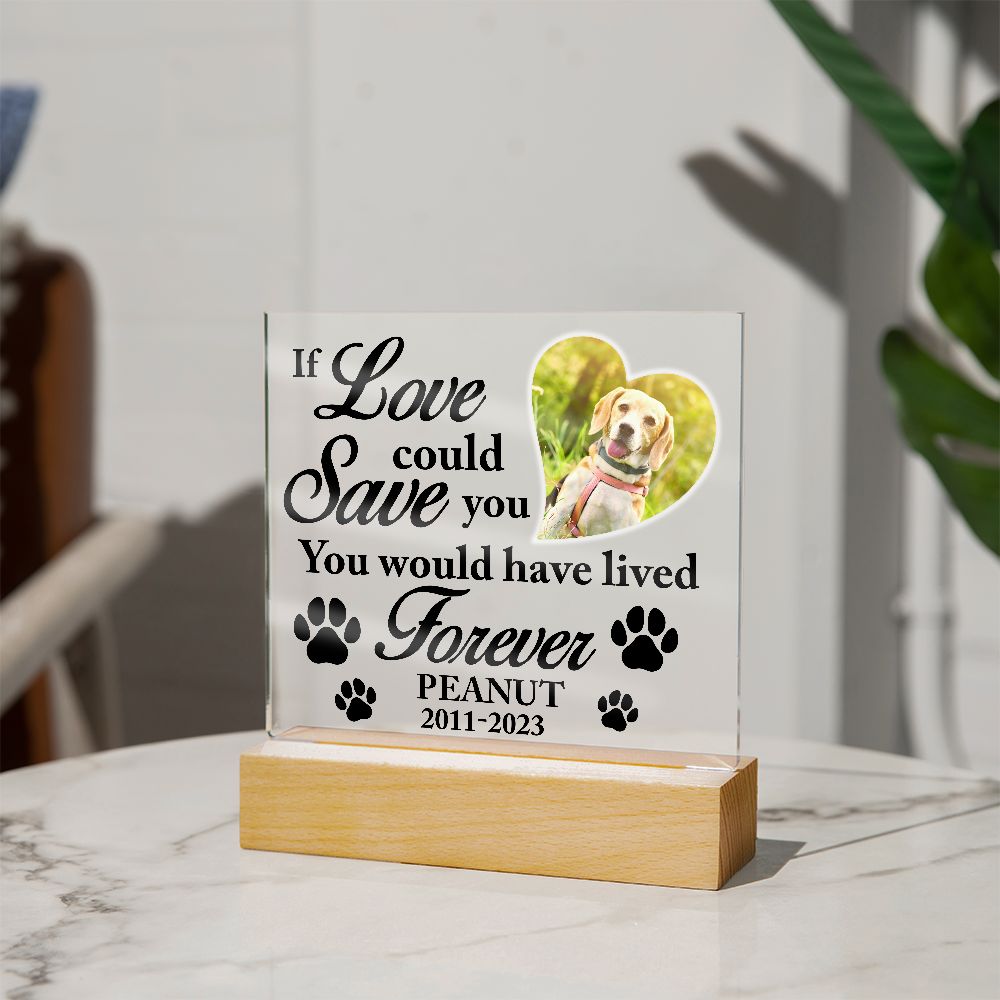 If Love Could Save You - Personalize Loss of Pet Gift With Photo