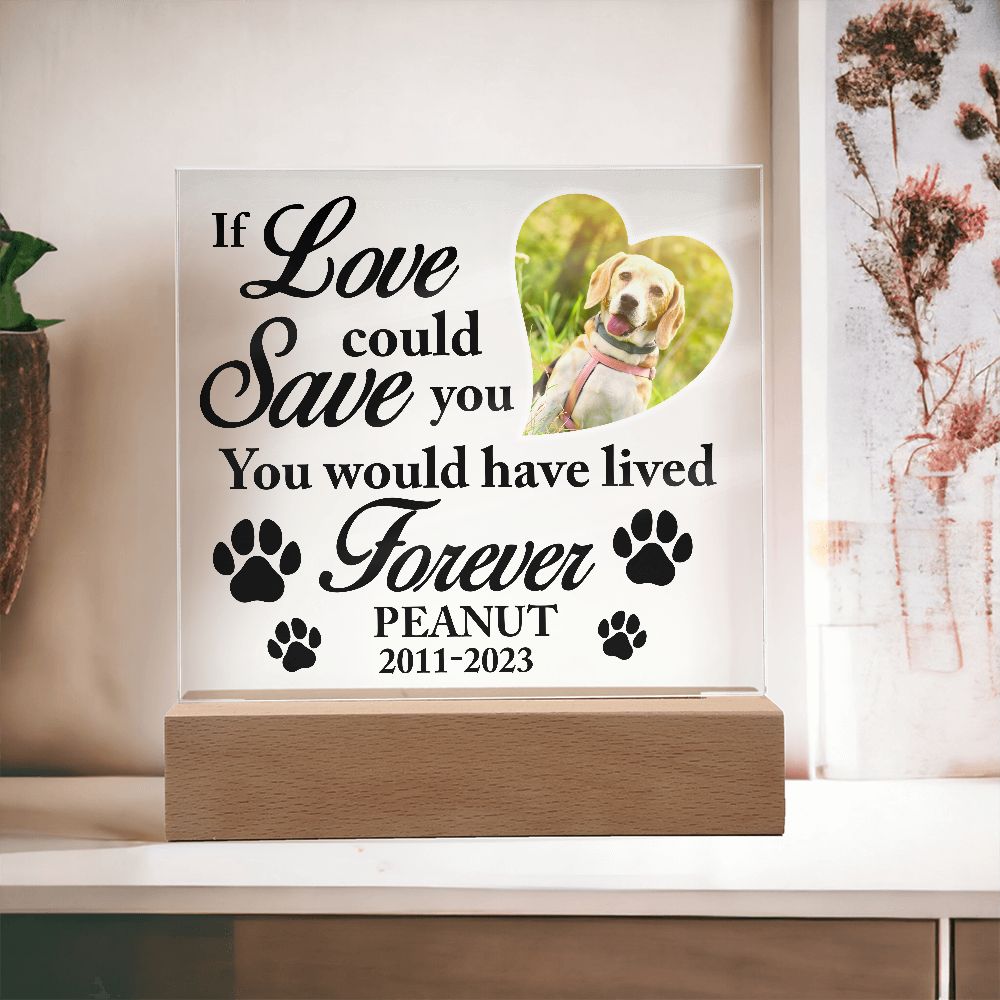 If Love Could Save You - Personalize Loss of Pet Gift With Photo