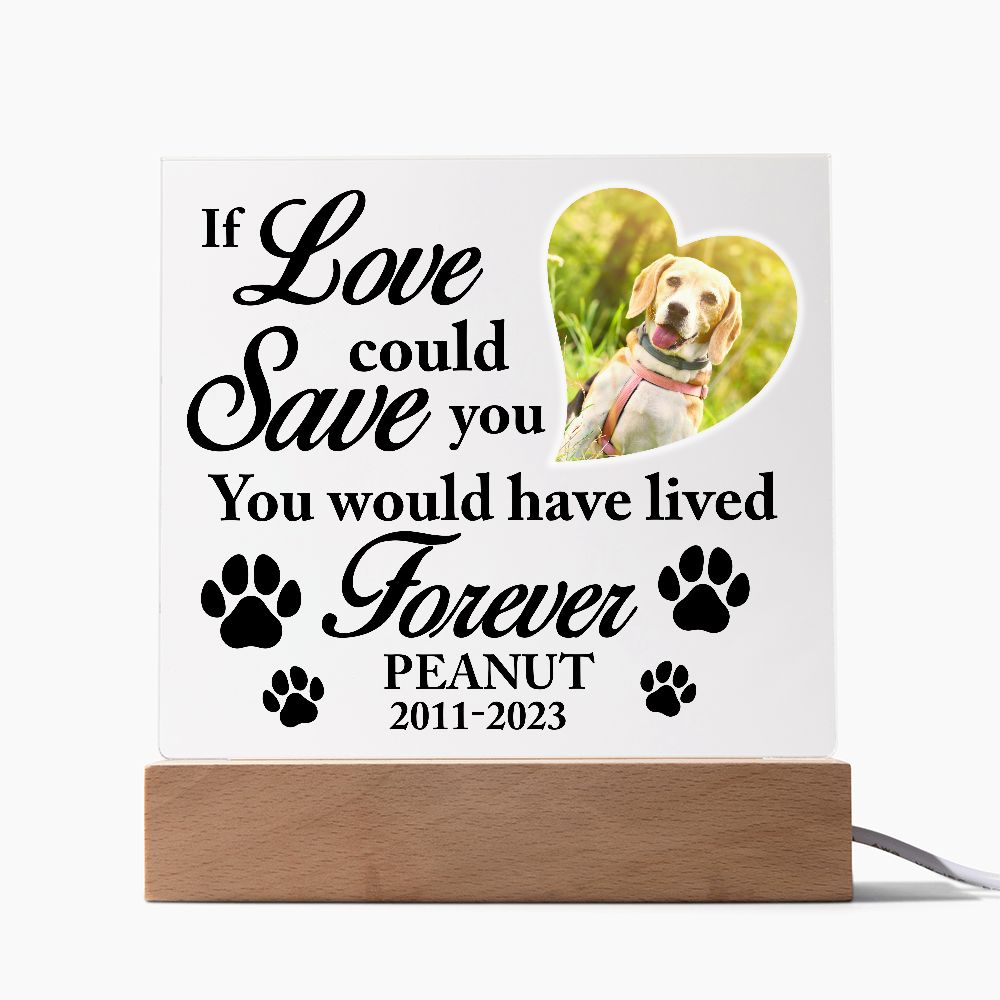 If Love Could Save You - Personalize Loss of Pet Gift With Photo