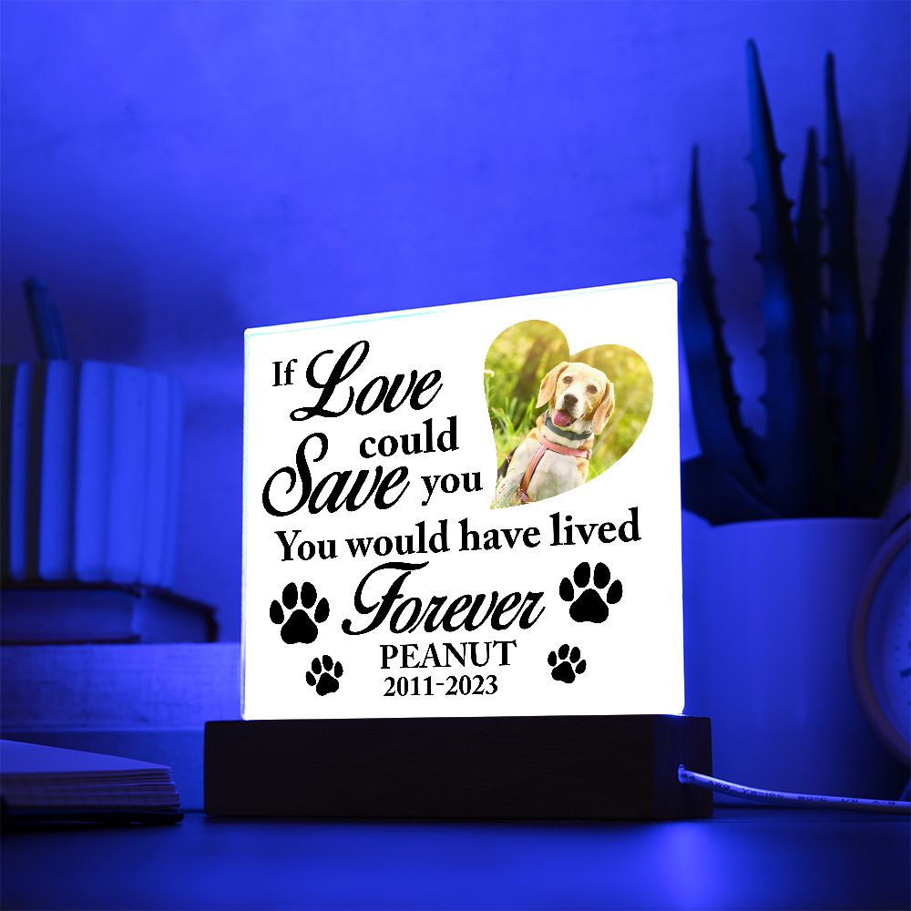 If Love Could Save You - Personalize Loss of Pet Gift With Photo