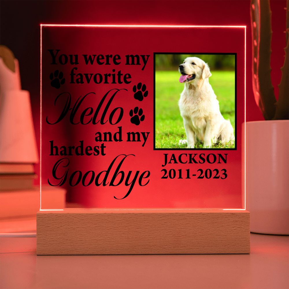 You Were My Favorite - Personalize Loss of Pet Gift With Photo - Acrylic Plaque