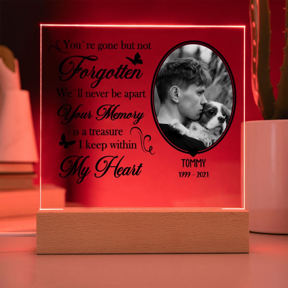 You're Gone But Not Forgotten - Personalized Acrylic Plaque - Remembrance Gift