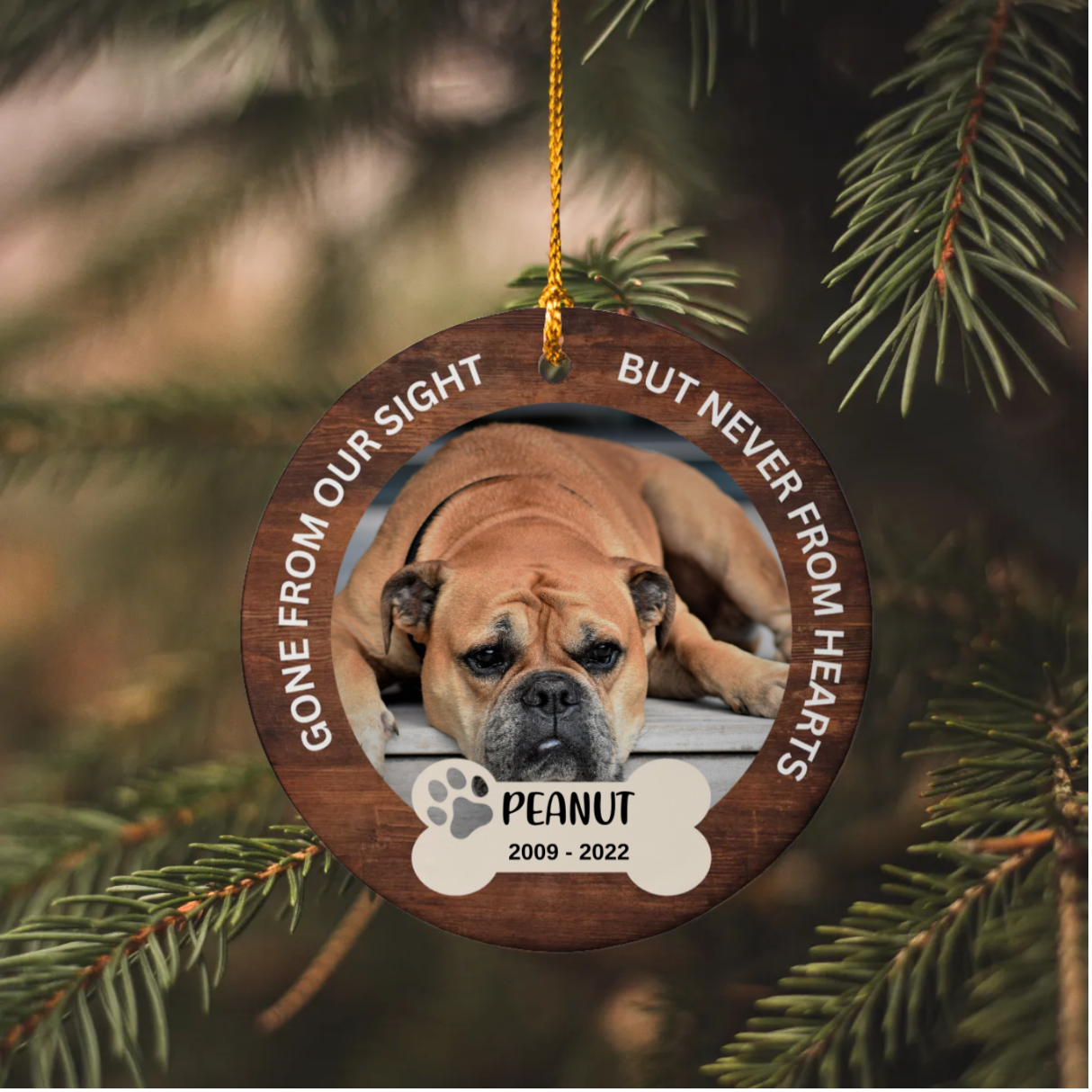 (Photo inserted) Remember Your Furry Friend with a Loving Pet Memorial Ornament