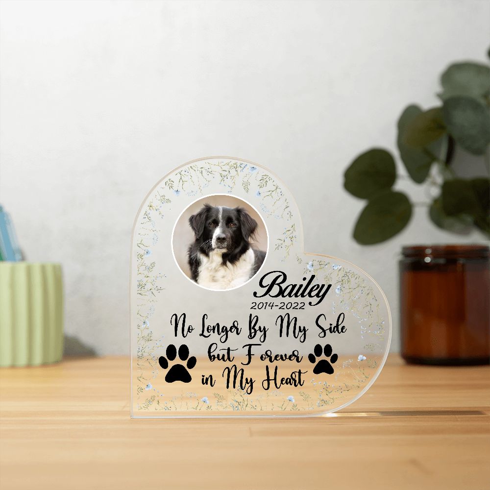 No Longer By My Side Forever In My Heart - Loss of Dog or Cat Memorial Gift