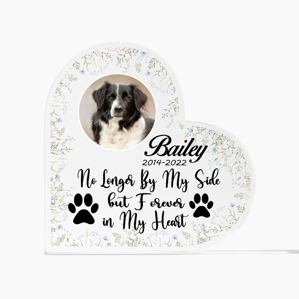 No Longer By My Side Forever In My Heart - Loss of Dog or Cat Memorial Gift