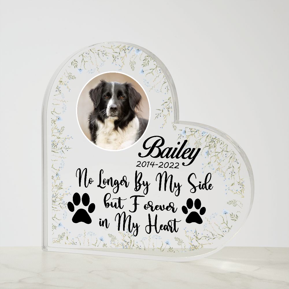 No Longer By My Side Forever In My Heart - Loss of Dog or Cat Memorial Gift