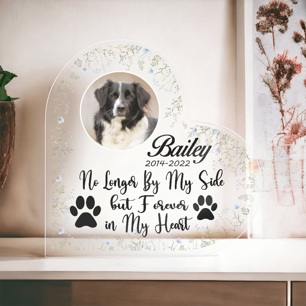 No Longer By My Side Forever In My Heart - Loss of Dog or Cat Memorial Gift